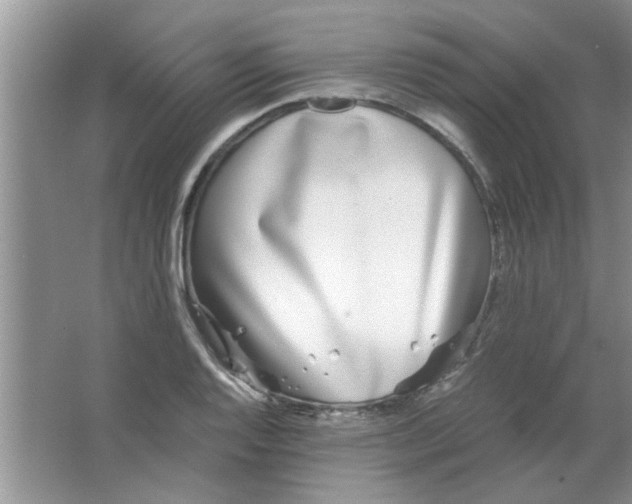 X0000063521128200602101944