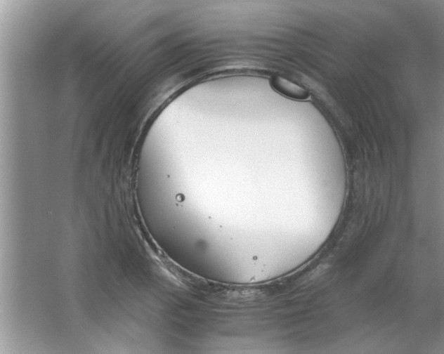 X0000063521129200602101944