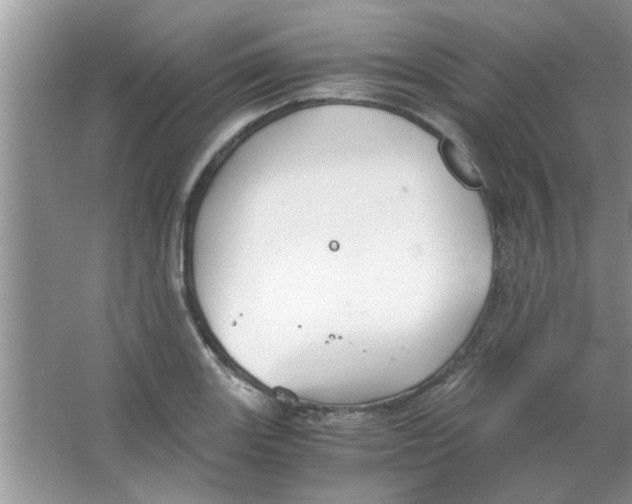 X0000063521131200602101944