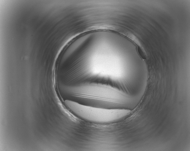 X0000063521132200602101944