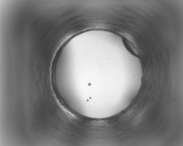 X0000063521135200602101944