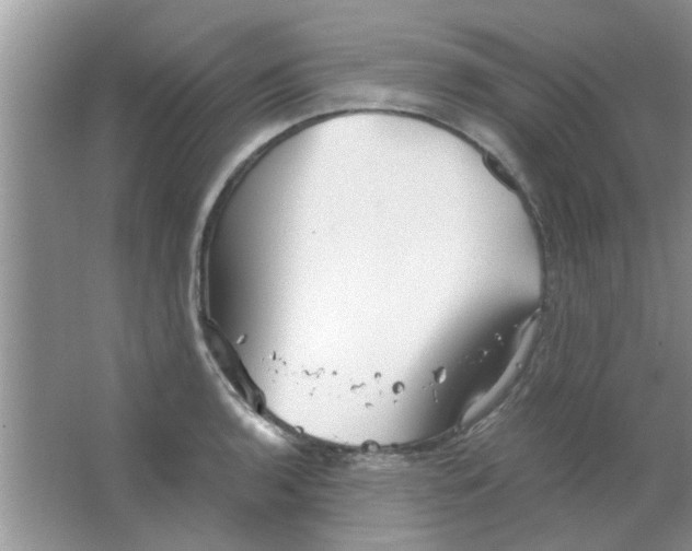 X0000063521136200602101944