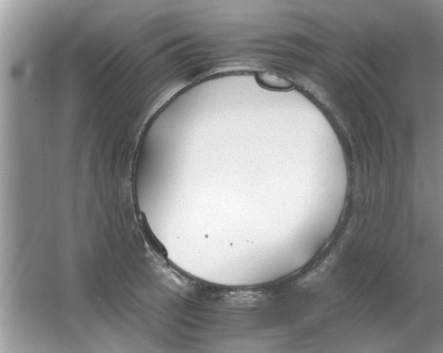 X0000063521137200602101944