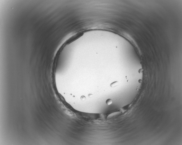 X0000063521138200602101945