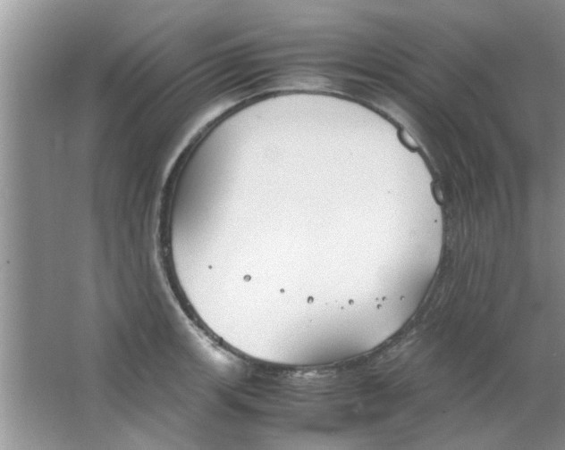 X0000063521139200602101945