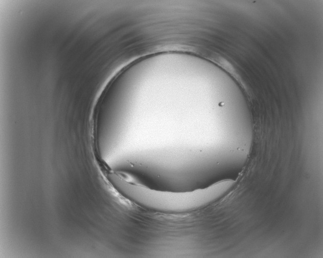 X0000063521140200602101945