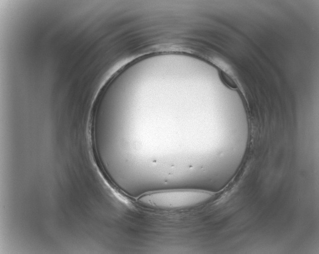 X0000063521141200602101945