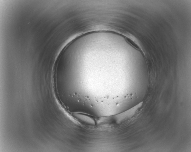 X0000063521142200602101945