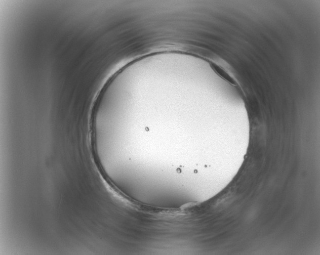 X0000063521143200602101945