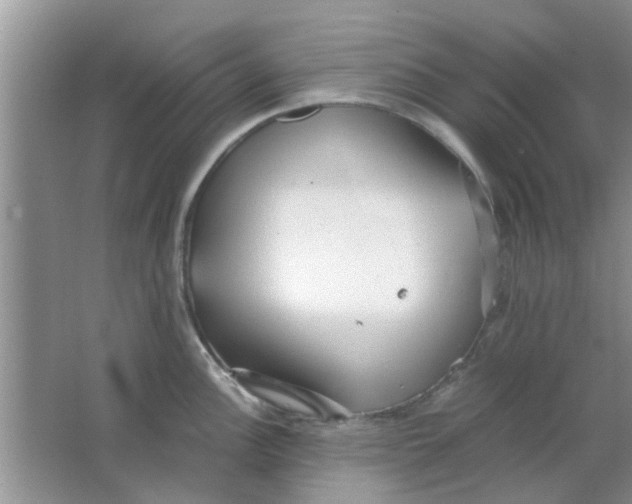 X0000063521148200602101945