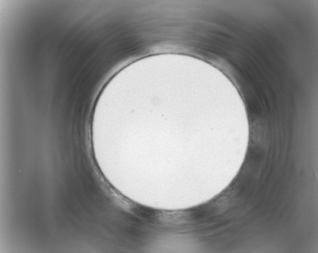 X0000063521150200602101945