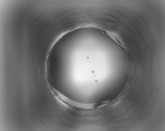 X0000063521151200602101945