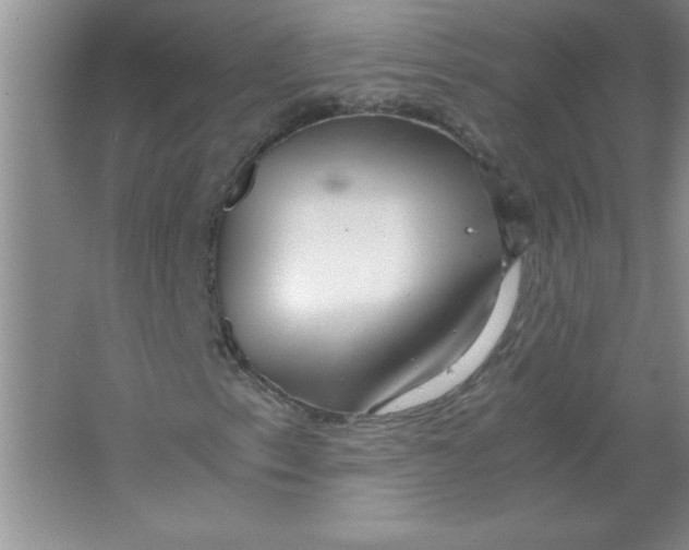 X0000063521153200602101944