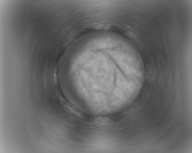 X0000063521154200602101944