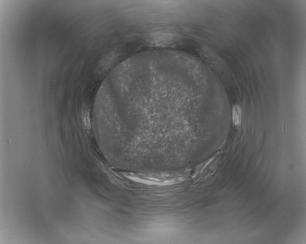 X0000063521155200602101944