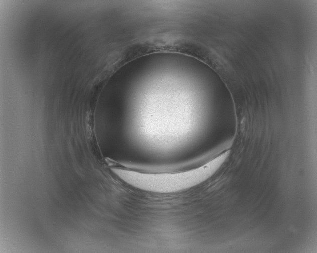 X0000063521156200602101944