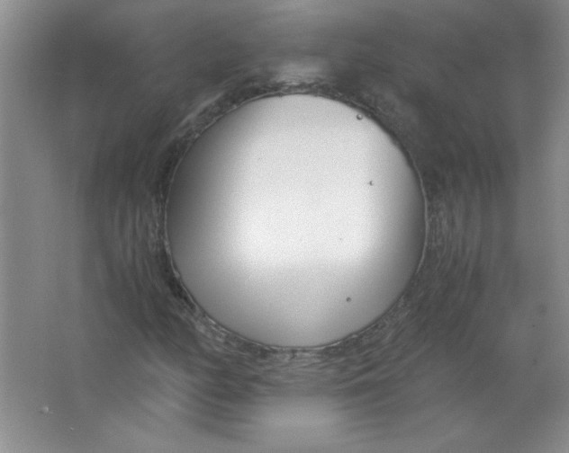 X0000063521158200602101944