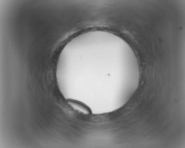 X0000063521159200602101944