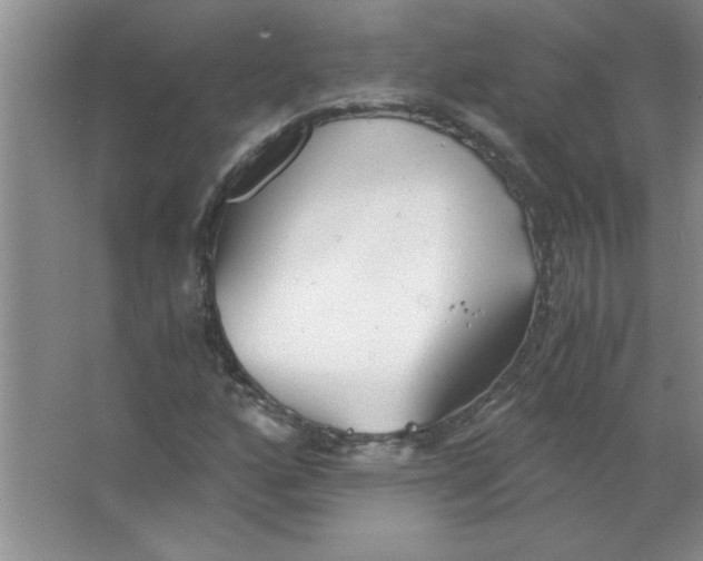 X0000063521160200602101944