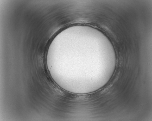 X0000063521162200602101944