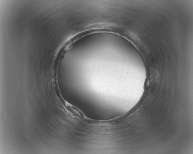 X0000063521164200602101944