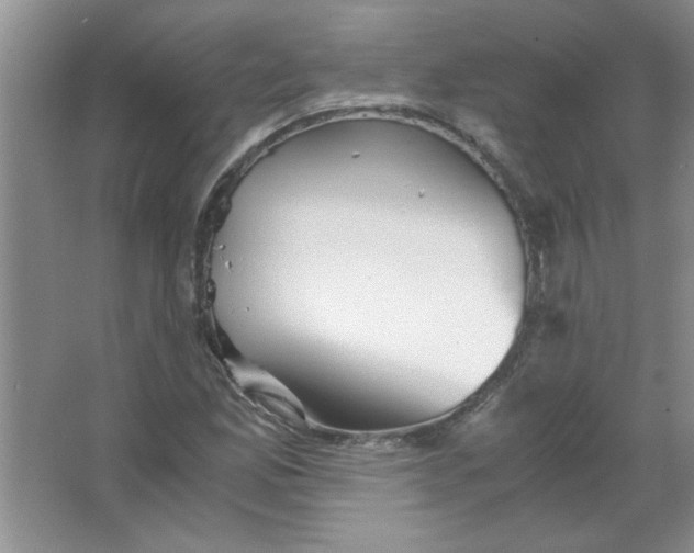 X0000063521165200602101944