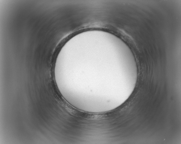 X0000063521166200602101944