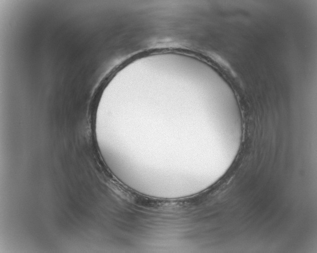 X0000063521167200602101944