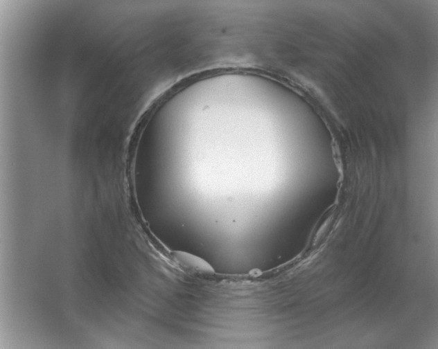 X0000063521168200602101944