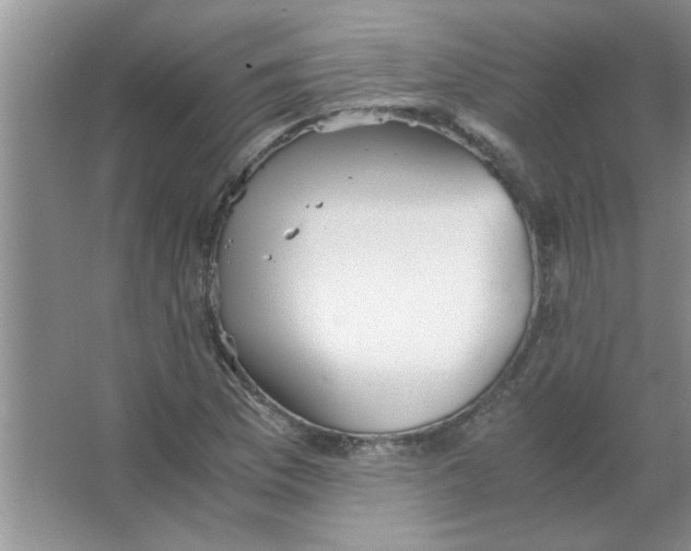 X0000063521169200602101944