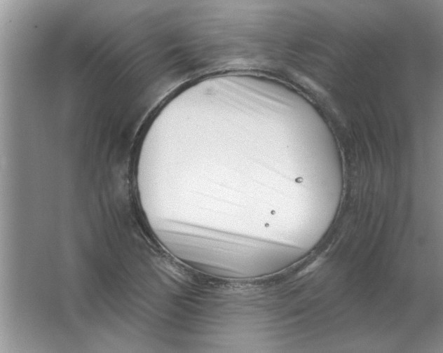 X0000063521170200602101944