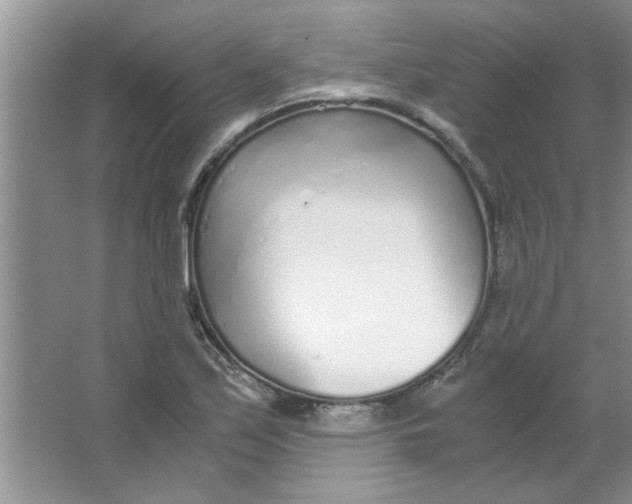 X0000063521171200602101944