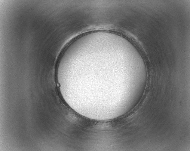 X0000063521174200602101944