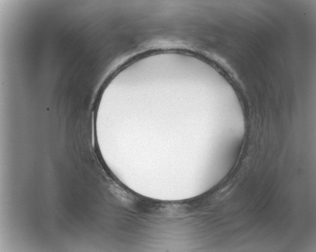 X0000063521175200602101944