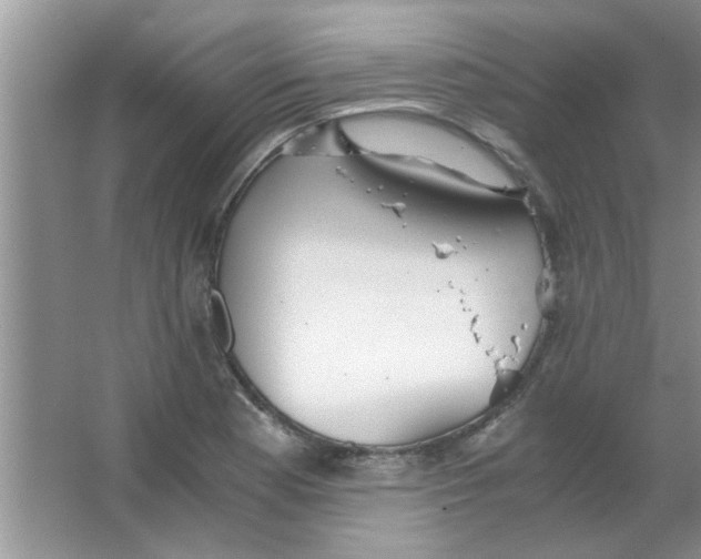 X0000063521177200602101944