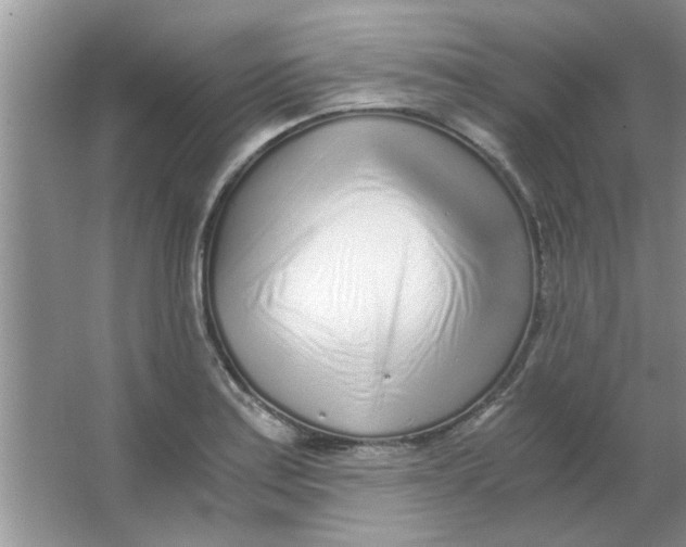 X0000063521179200602101943