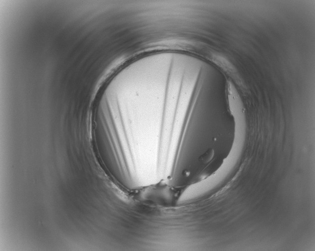 X0000063521180200602101943