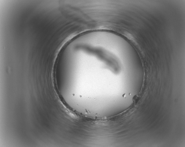 X0000063521181200602101943