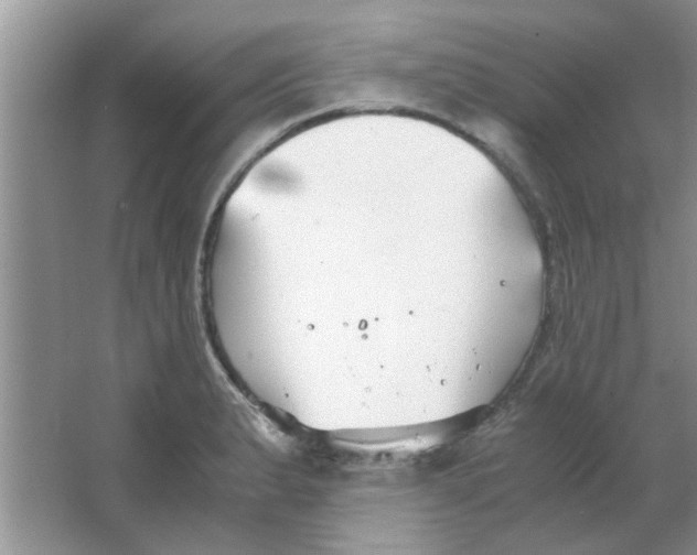 X0000063521183200602101943