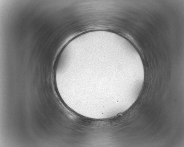 X0000063521187200602101943