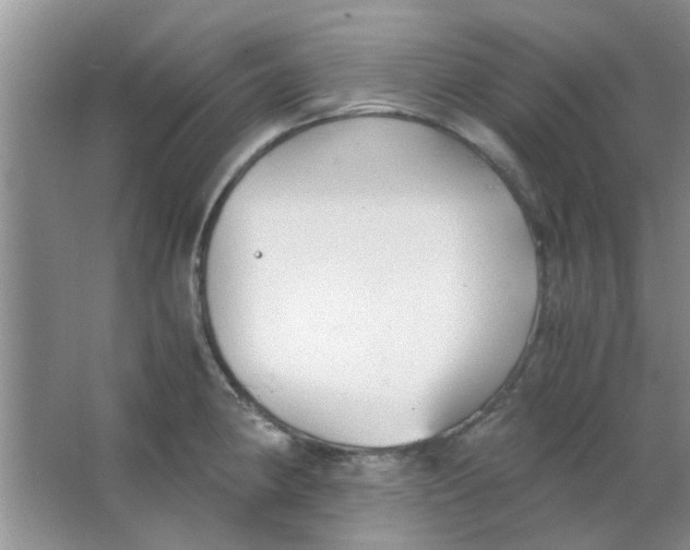 X0000063521190200602101943