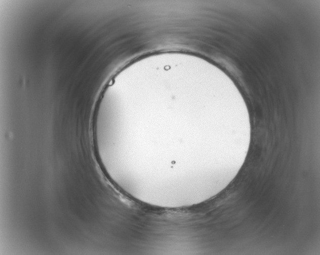 X0000063521191200602101943