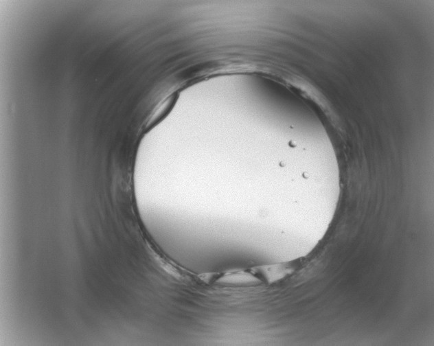 X0000063521193200602101943