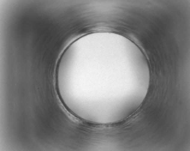 X0000063521195200602101943