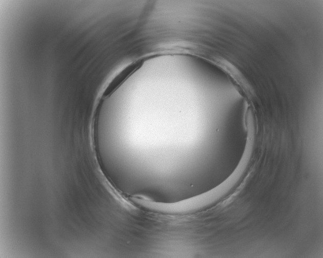 X0000063521196200602101943