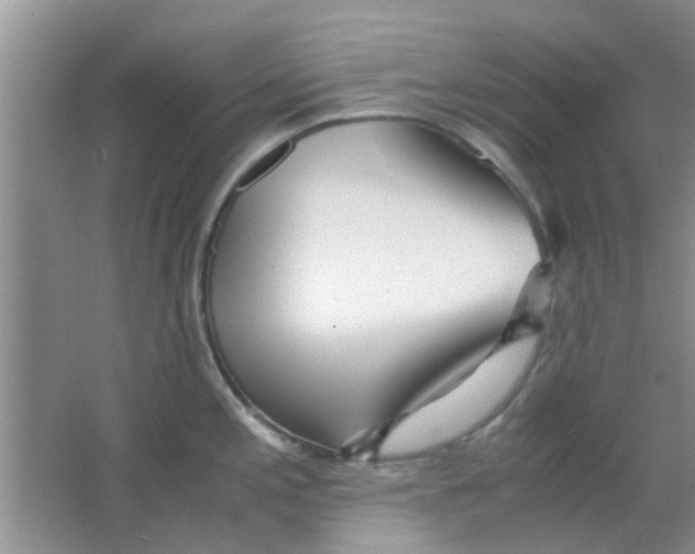 X0000063521197200602101943