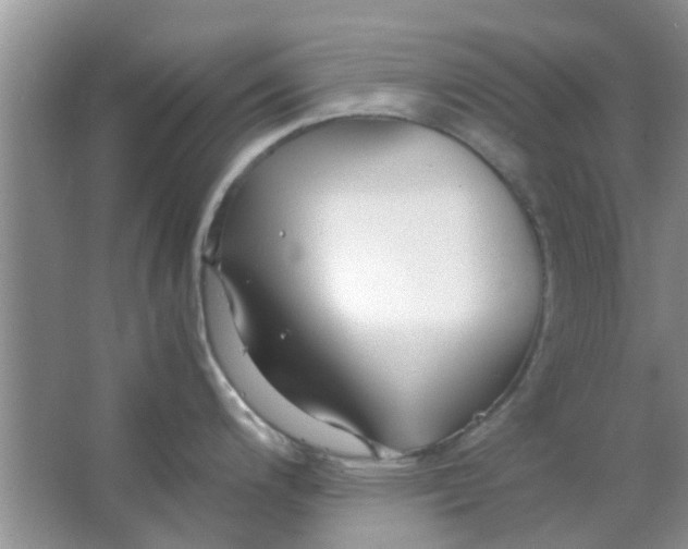 X0000063521200200602101943