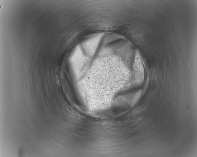 X0000063521202200602101942