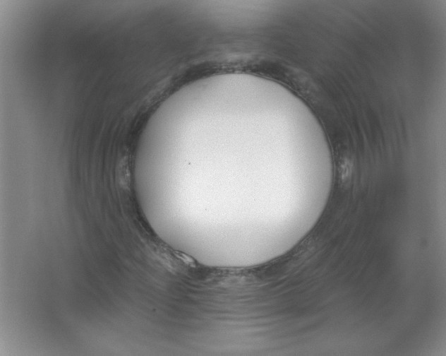 X0000063521204200602101942