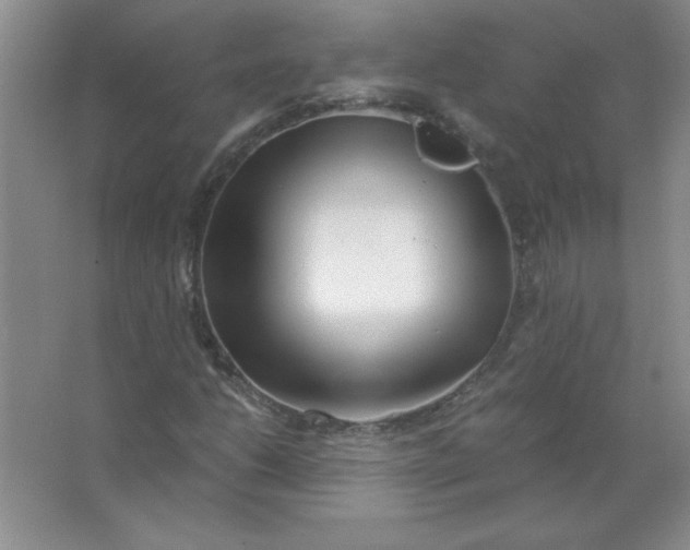 X0000063521206200602101942